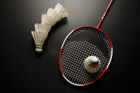 比赛概览 比赛概览